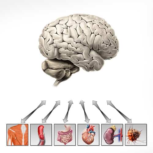 regulationsmedizin